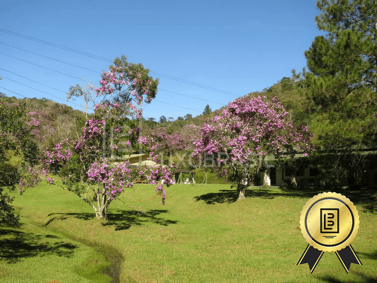 LUXOBRASIL #SP15 Fazenda Conceição Aluguel Temporada